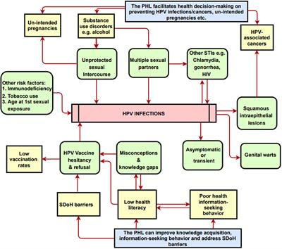 A Digital Personal Health Library for Enabling Precision Health Promotion to Prevent Human Papilloma Virus-Associated Cancers